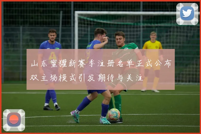 山东蜜獾新赛季注册名单正式公布双主场模式引发期待与关注