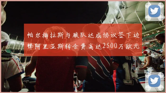 帕尔梅拉斯与狼队达成协议签下边锋阿里亚斯转会费高达2500万欧元