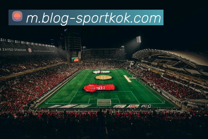 KOK体育平台生态图